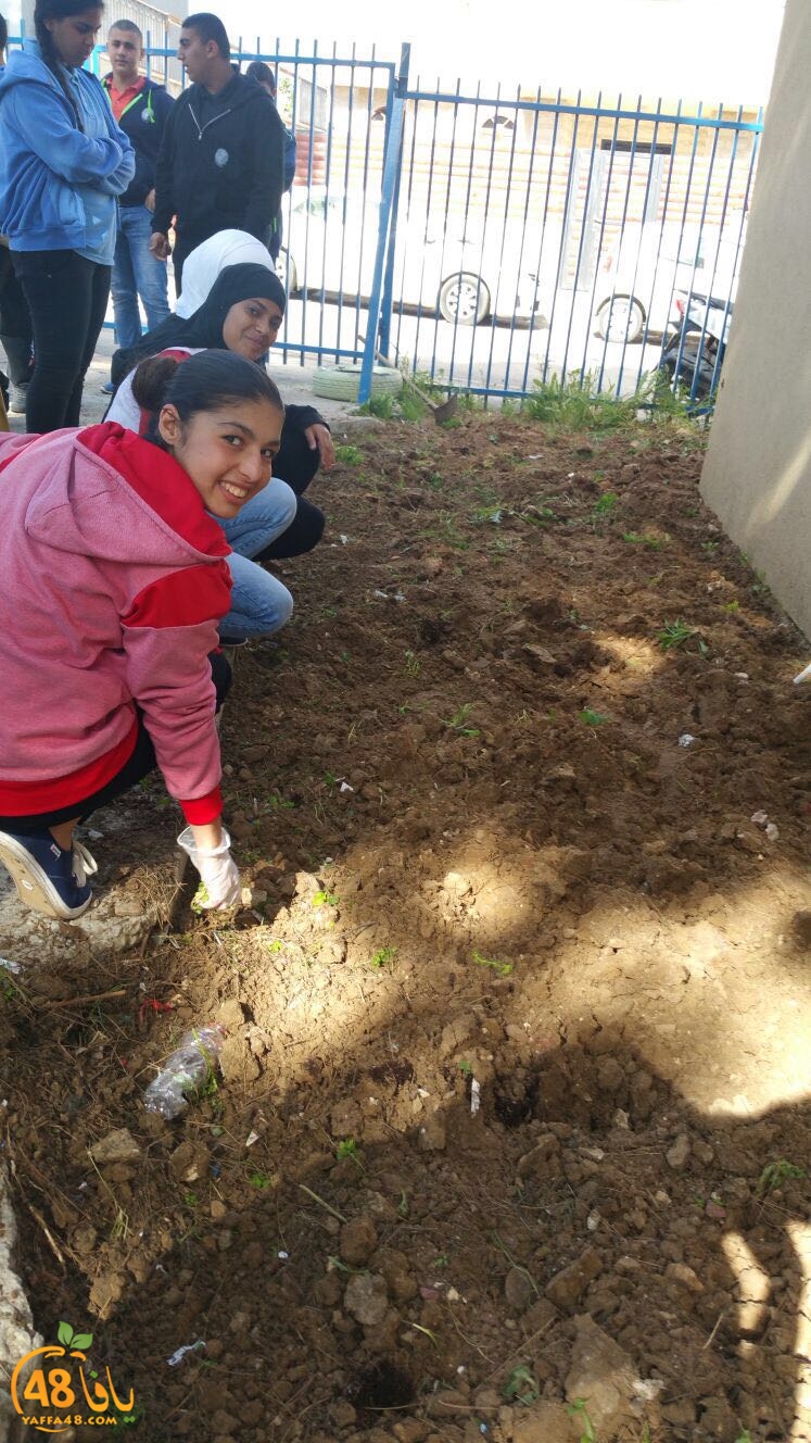 tomashin lduaj (14).jpg